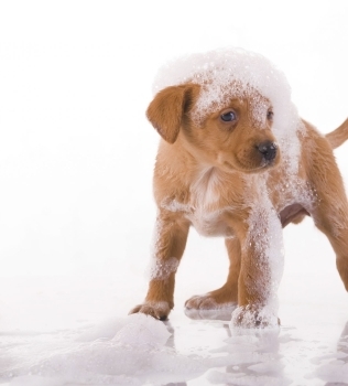 Why Do I Need A Water Softener?